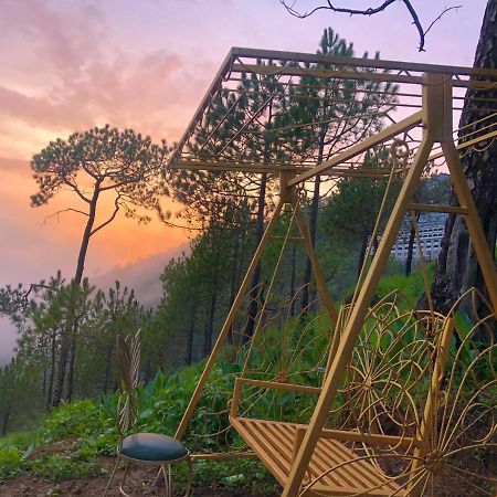 The Westberry 50Mtrs Offroading And 50 Mtrs Nature Path Bed and Breakfast Shimla Buitenkant foto
