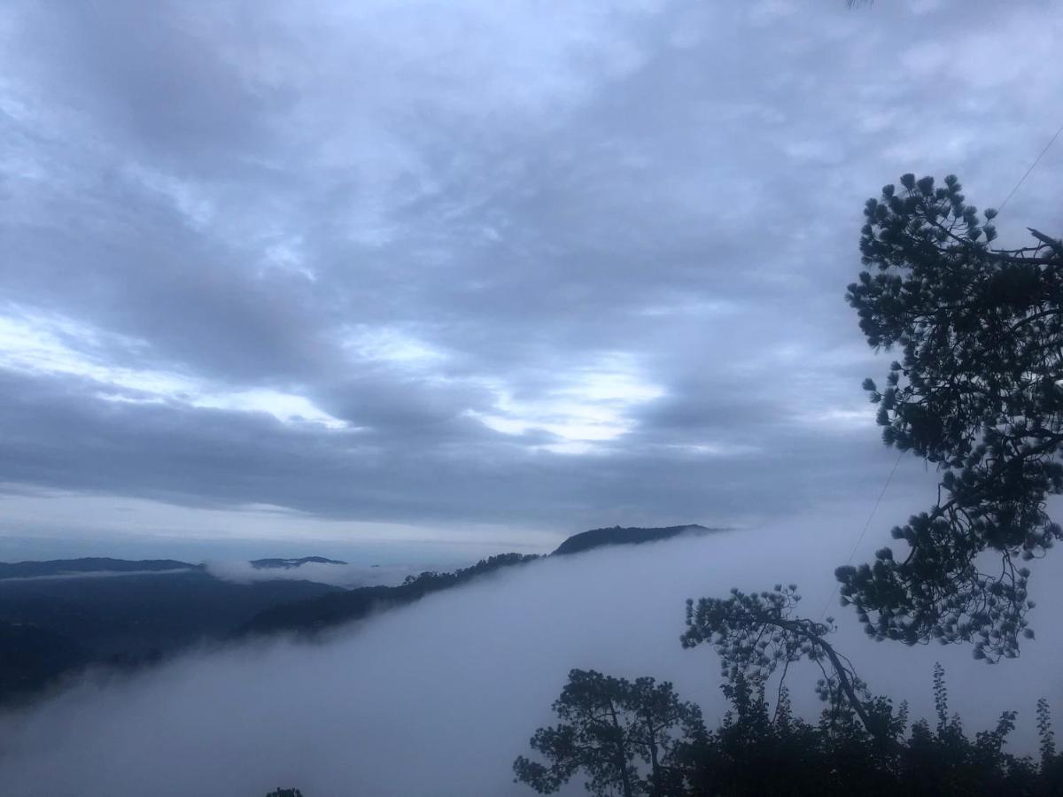 The Westberry 50Mtrs Offroading And 50 Mtrs Nature Path Bed and Breakfast Shimla Buitenkant foto